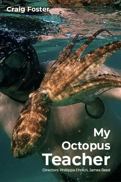 Мой учитель-осьминог - постер